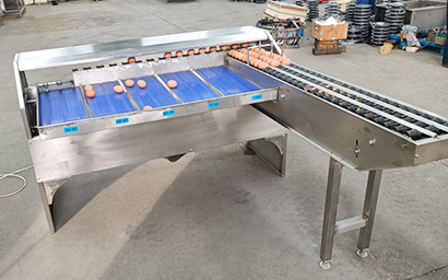 蛋品分选机主要参数