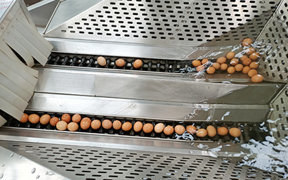 全自动双排洗蛋机 瑞昊厂家高效率清洁洗蛋设备保洁冲洗机洗蛋机
