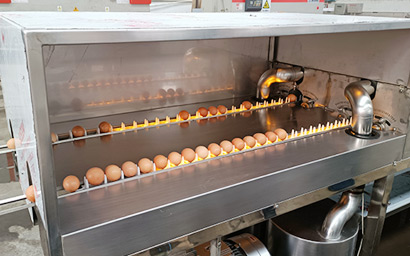 双排洗蛋机鸭蛋土鸡蛋清洗机自动光检洗蛋机器304不锈钢 操作简单