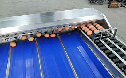瑞昊机械蛋分级机 全自动鸭蛋分选设备 小型洗蛋机选蛋机