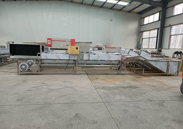 小型自动洗蛋机 304不锈钢蛋品清洗设备 蛋品清洗流水线