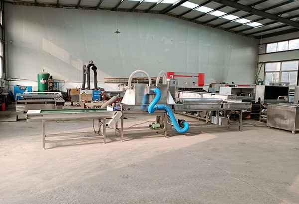 洗蛋机哪家好 双排洗蛋机厂家 洗蛋机报价 山东诸城洗蛋机哪家好